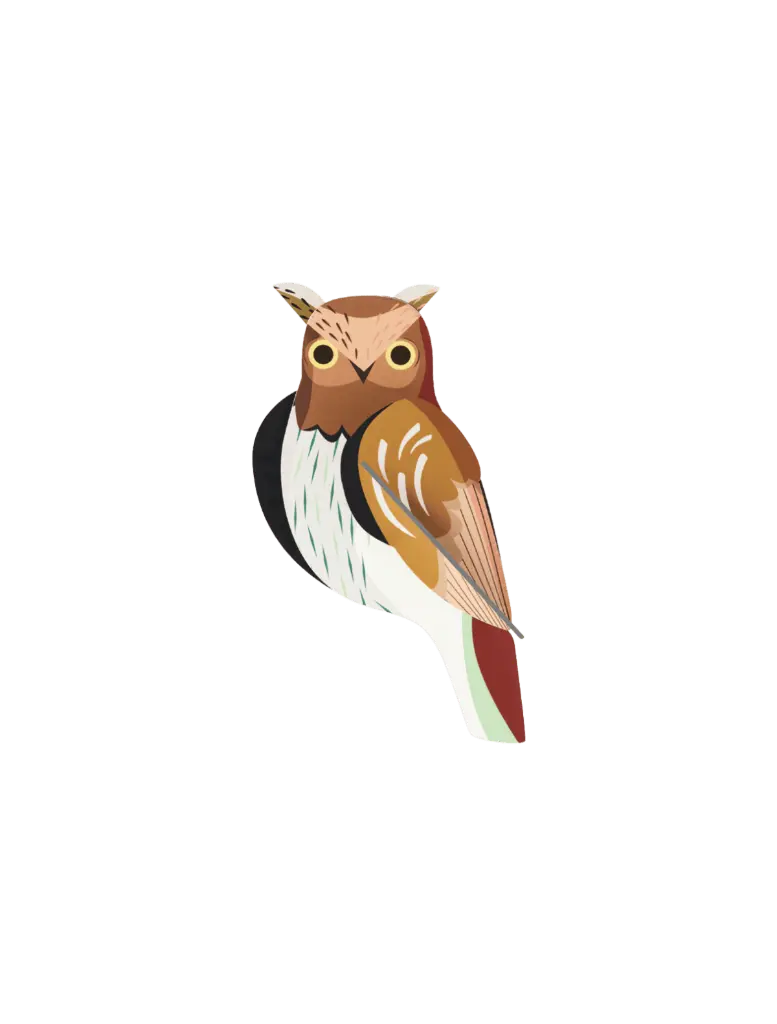 Studio Roof Tawny Owl