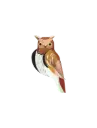Studio Roof Tawny Owl