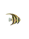 Studio Roof Angelfish