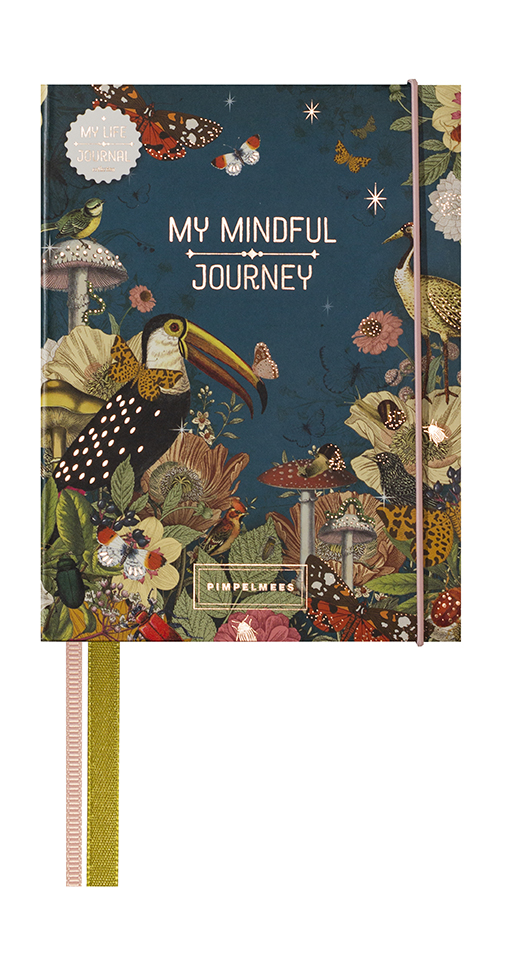 Pimpelmees mindfullness journey book - sky 