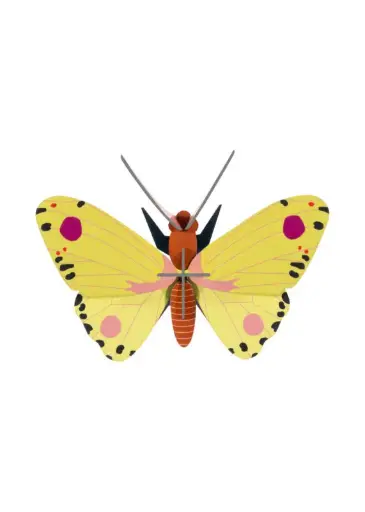 [IMA120] Studio Roof Luzerne Butterfly
