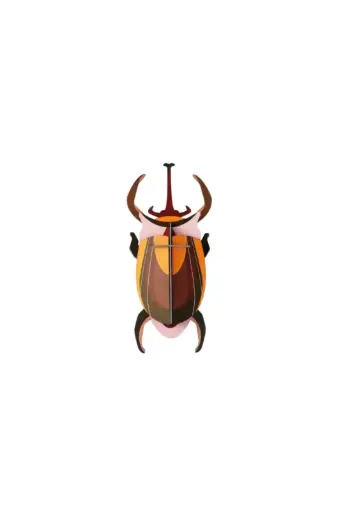 [IMA77] Studio Roof Elephant Beetle