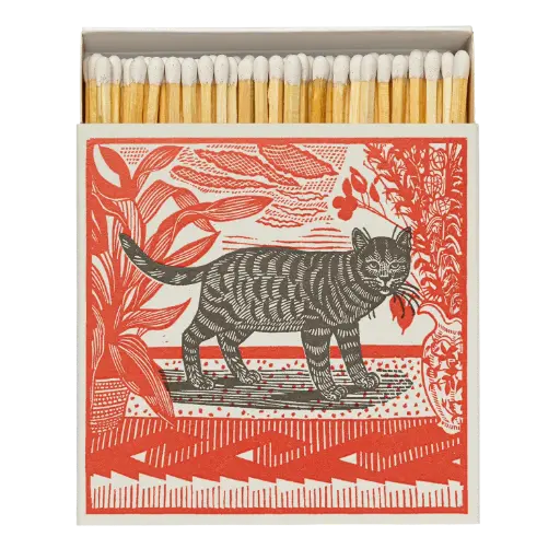 [B212] Sasha The Cat Matches