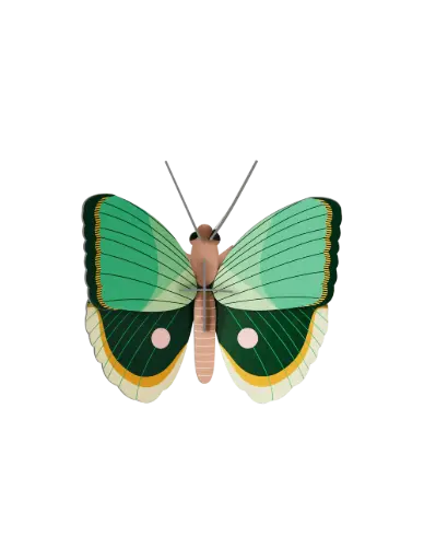 [IMA86] Studio Roof Fern Claudina Butterfly