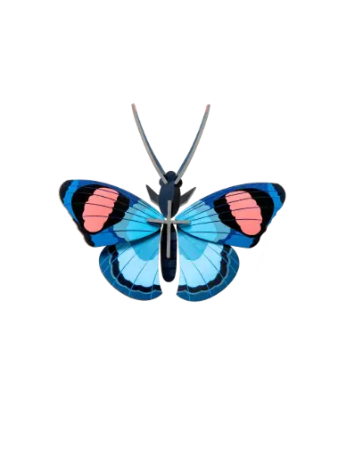 [IMA52] Studio Roof Peacock Butterfly