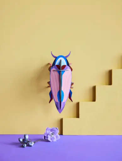 [IMA81] violet click beetle