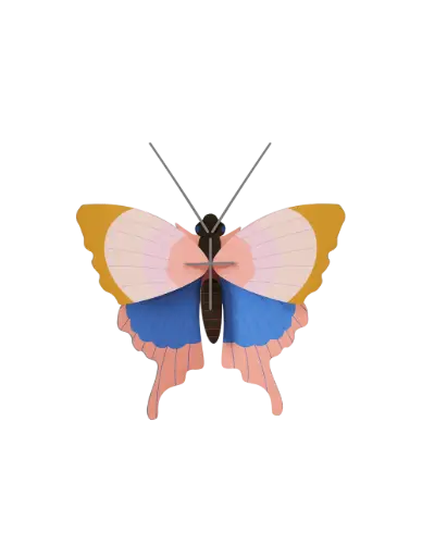 [IMA88] Studio Roof Gold rim butterfly
