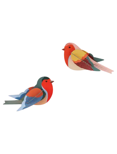 [TTM215] Studio Roof Robins