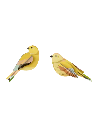 [TTM227] Studio Roof Citrinella Pair