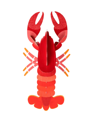[TTM64] lobster